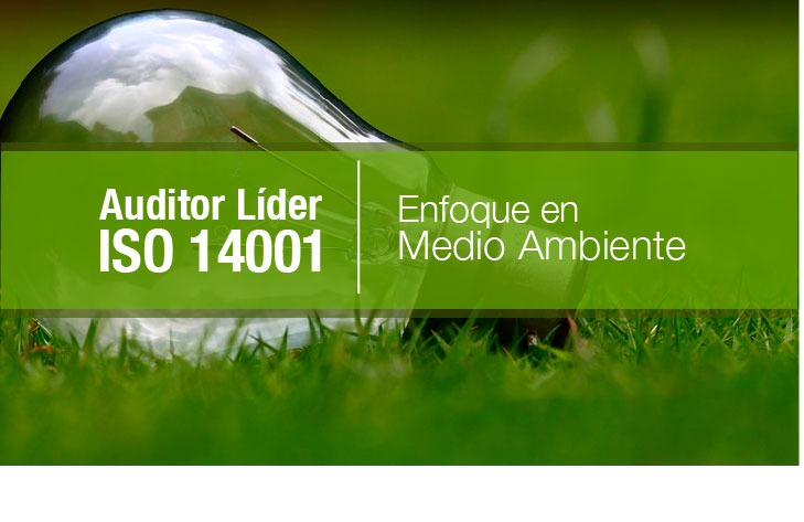 Auditor Interno ISO 14001-2015 (enfocada al medio ambiente)